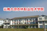 云南大理农林职业技术学院引进圣源校园直饮水系统