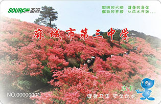 麻城市第三中学校园直饮水