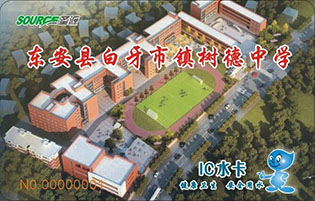 东安县白牙市镇树德中学校园直饮水项目