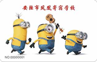 安陆凤凰寄宿学校直饮水-武汉圣源校园直饮水官网