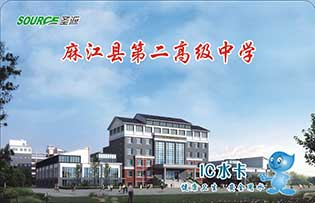 麻江县二高校园直饮水-圣源校园直饮水官网