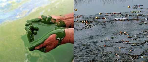 河流水污染,圣源12年专业生产校园直饮水及空气能热水淋浴设备